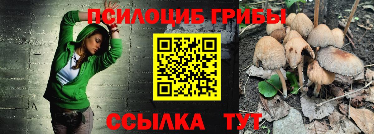 Галлюциногенные грибы мицелий  Вход с VPN  Павловский Посад 